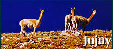 Jujuy Turismo