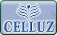 Celluz Spa Y Gym 