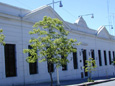 Museo De Ciencias Naturales Y Antropolgicas 