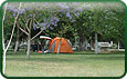 Camping Municipal De Gaboto 