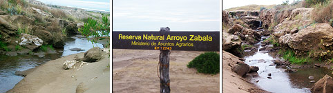 Reserva Natural Arroyo Zabala