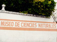 Museo De Ciencias Naturales 