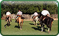 Estancias De Areco 