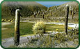 Parque Nacional Los Cardones 