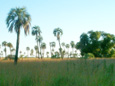 Parque Nacional Mburucuy 