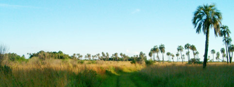 Parque Nacional Mburucuy