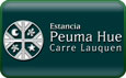 Estancia Peuma Hue  