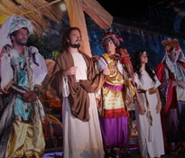 Fiesta de la Tradici�n Gaucha