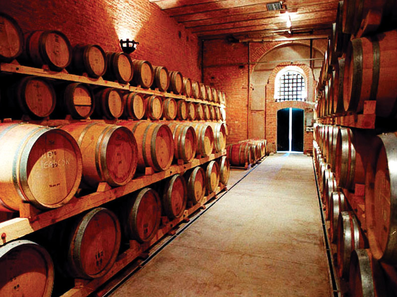 BODEGAS EN MENDOZA CAPITAL ARGENTINA MENDOZA TURISMO OCTAVA CAPITAL