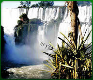 Puerto Iguazu