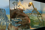 Museo Paleontolgico en Trelew