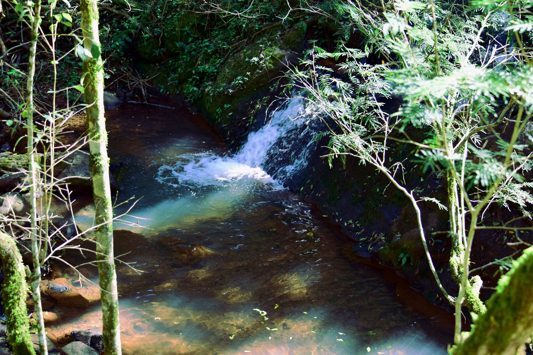 Saltos de 25 de Mayo