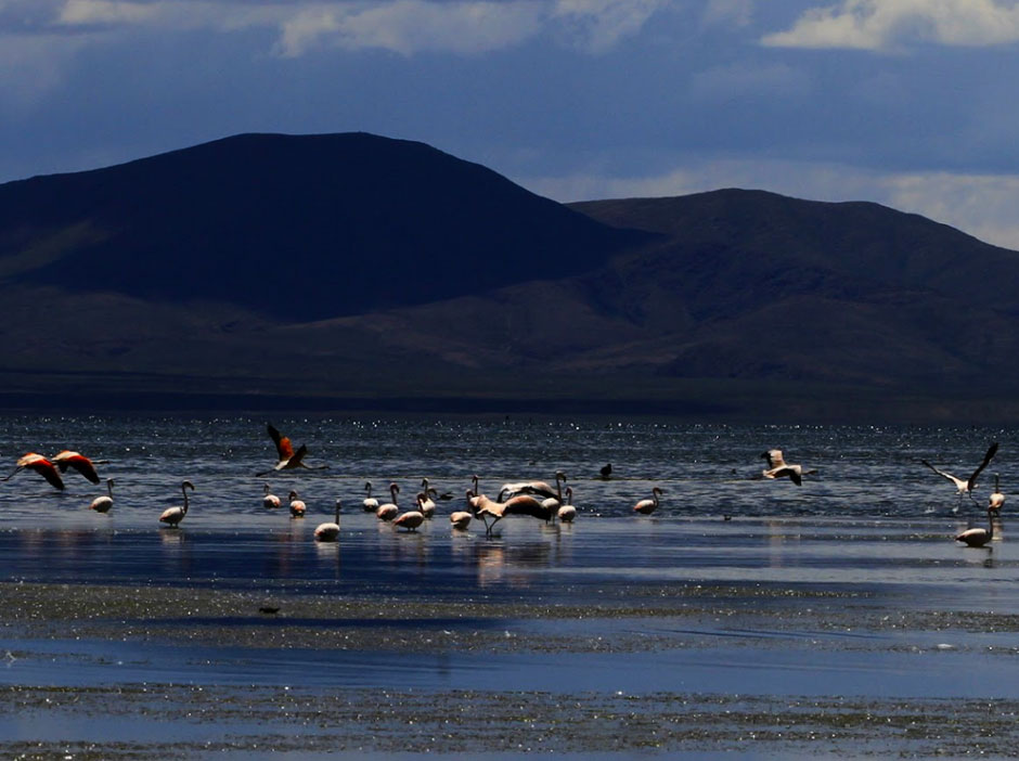 Turismo Aventura de Abra Pampa - Imagen: Argentinaturismo.com.ar