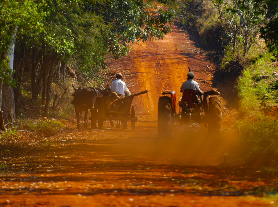 Turismo Activo en Leandro Alem