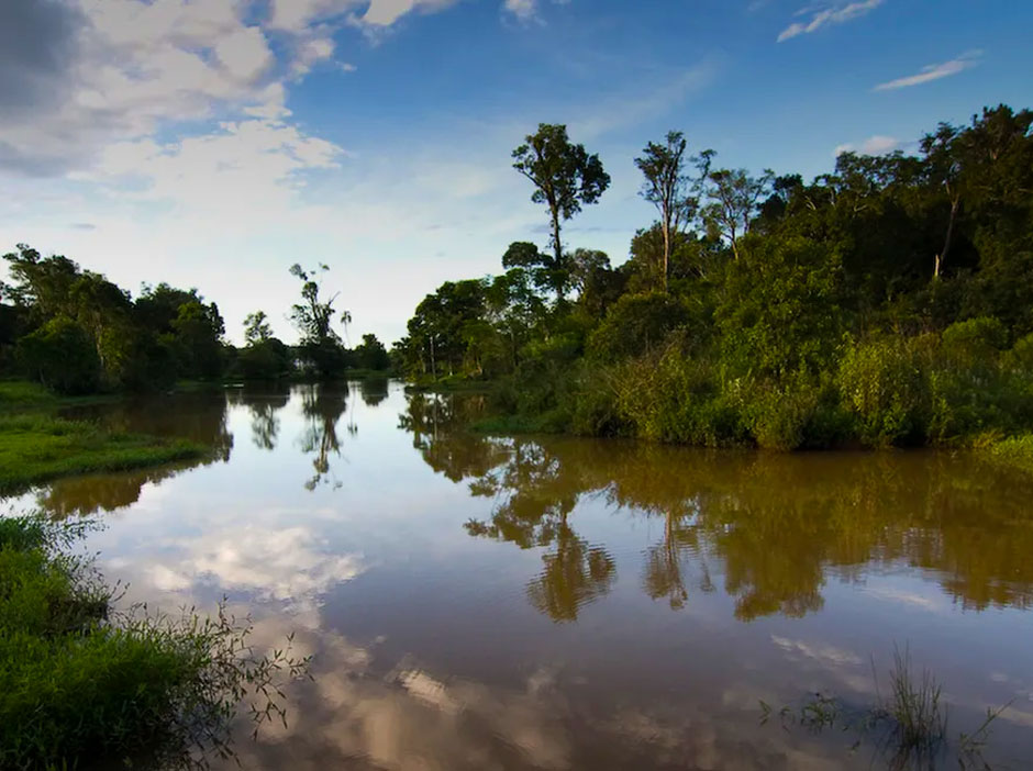 Parque Urugua-i de Andresito - Imagen: Argentinaturismo.com.ar