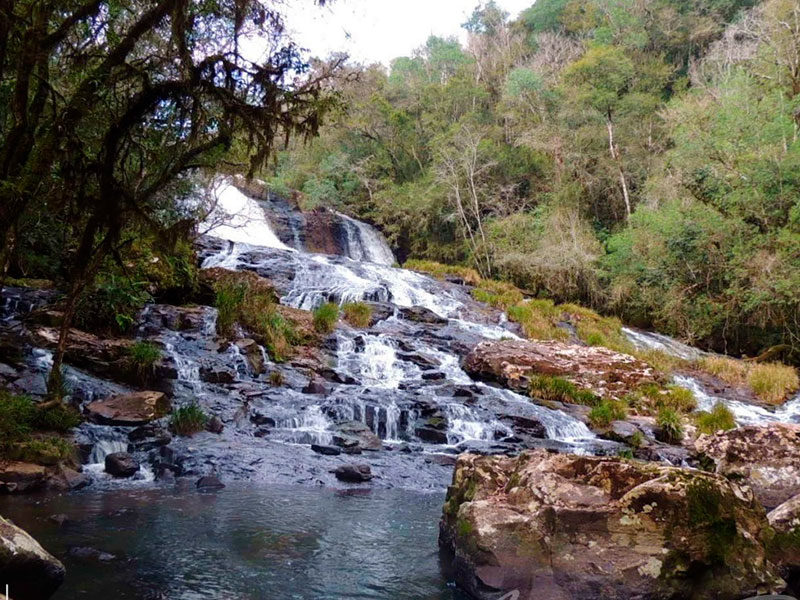 Turismo Alternativo en Aristbulo del Valle