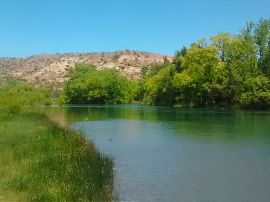 Pesca Deportiva en Arroyito