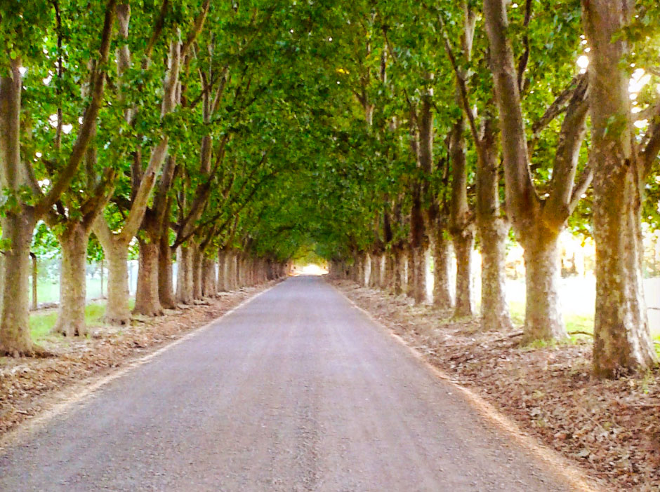 Historia de Arroyo Seco - Imagen: Argentinaturismo.com.ar