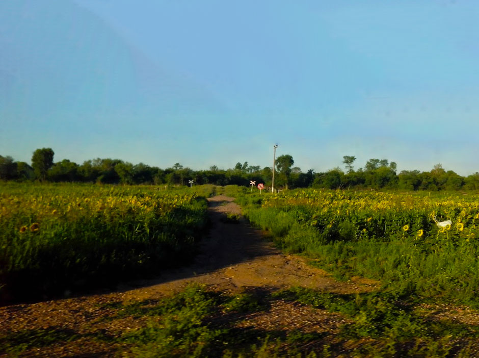 Turismo Rural de Avia Terai - Imagen: Argentinaturismo.com.ar