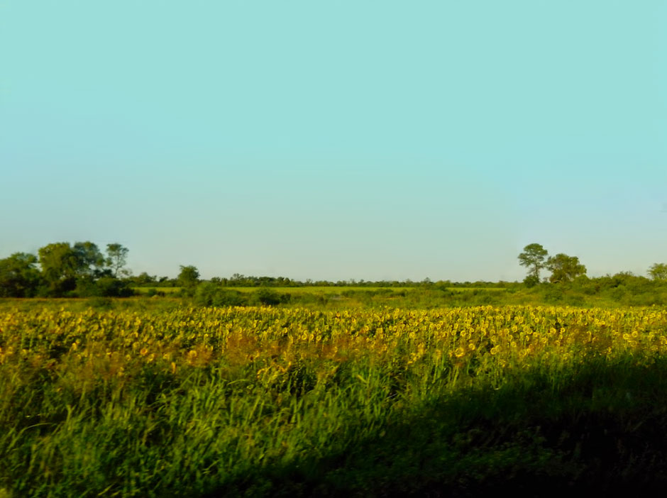 Turismo Rural de Avia Terai - Imagen: Argentinaturismo.com.ar