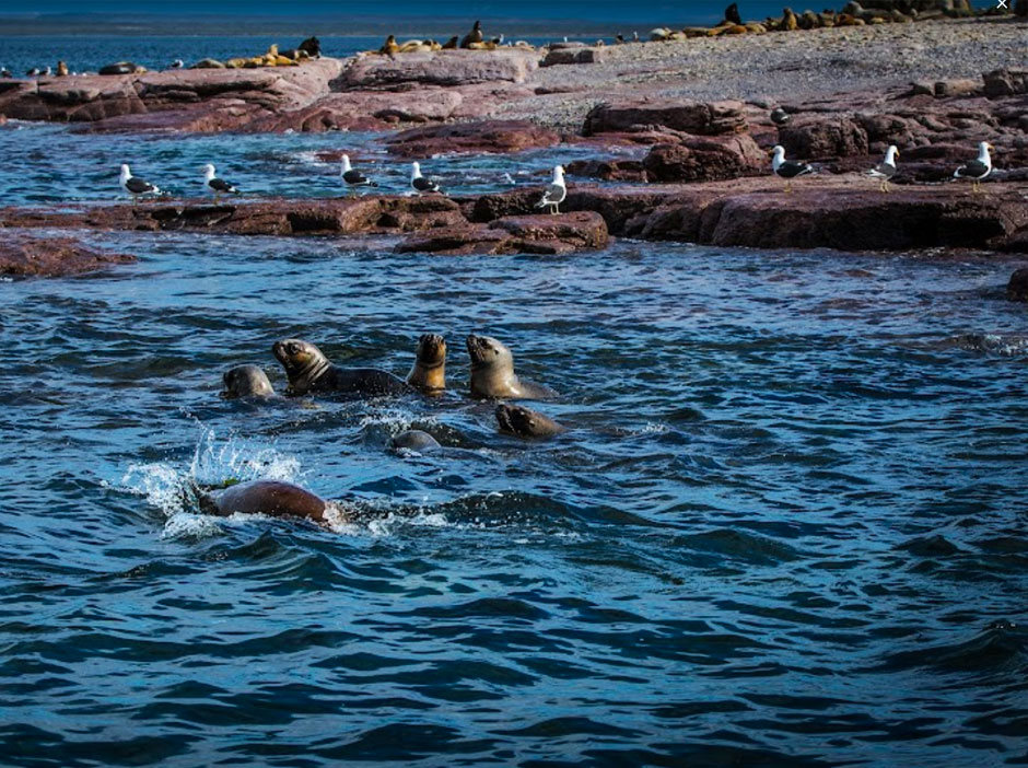 Turismo Aventura de Baha Bustamante - Imagen: Argentinaturismo.com.ar