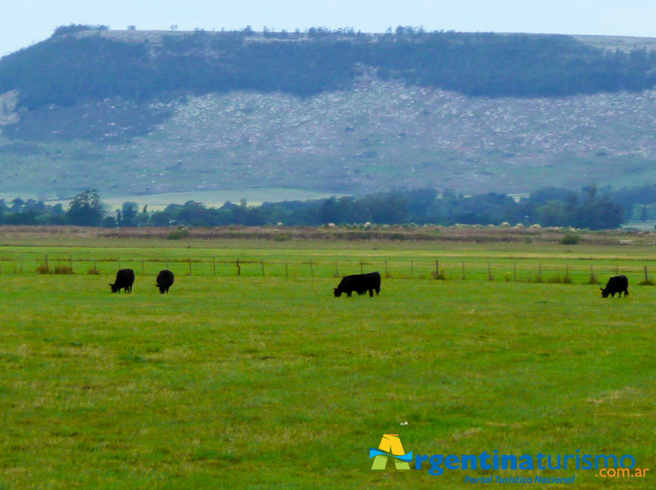 Turismo Rural en Balcarce - Imagen: Argentinaturismo.com.ar