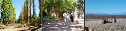 Turismo en Barreal