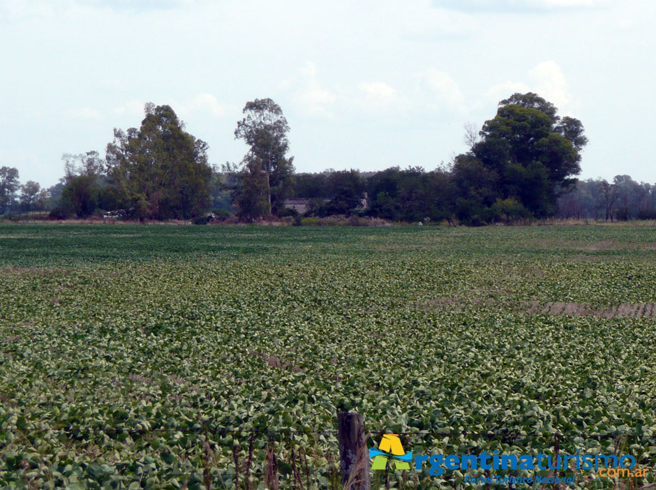 Turismo Rural en Bolivar - Imagen: Argentinaturismo.com.ar