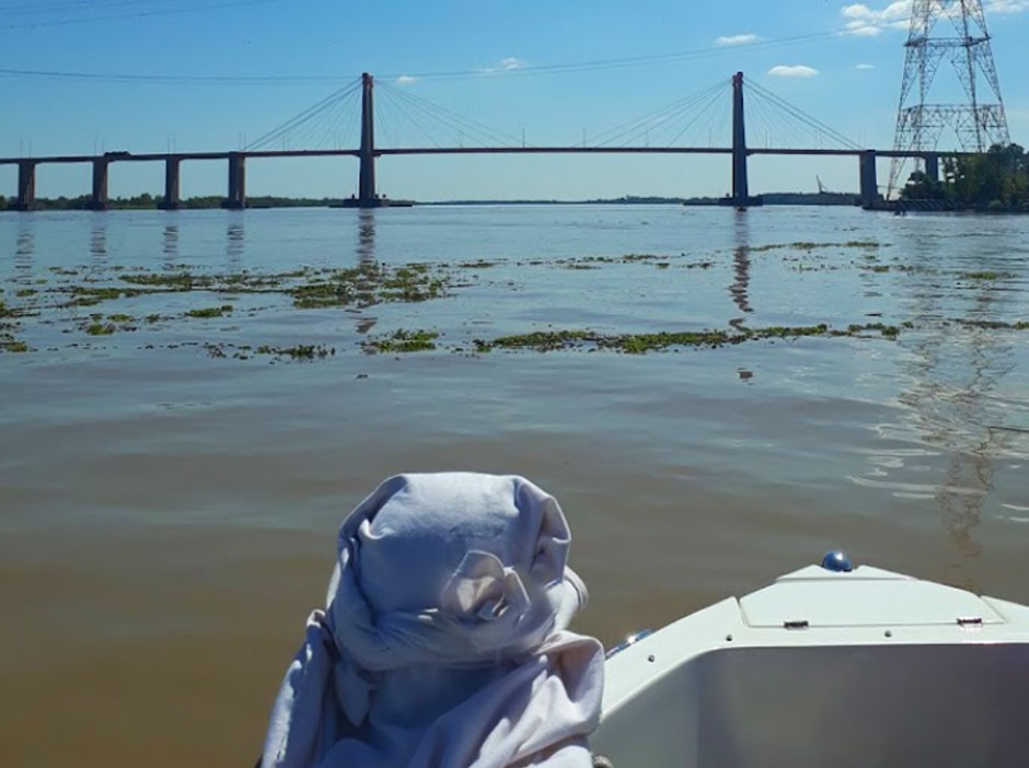 Pesca en Brazo Largo - Imagen: Argentinaturismo.com.ar