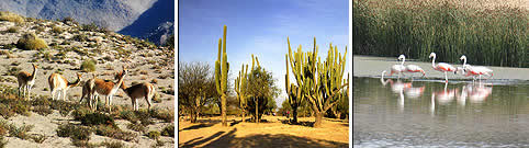 Turismo Rural en Catamarca