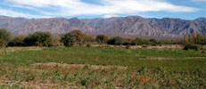 Santa Mara y Valles Calchaques