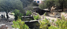 Termas de Fiambala