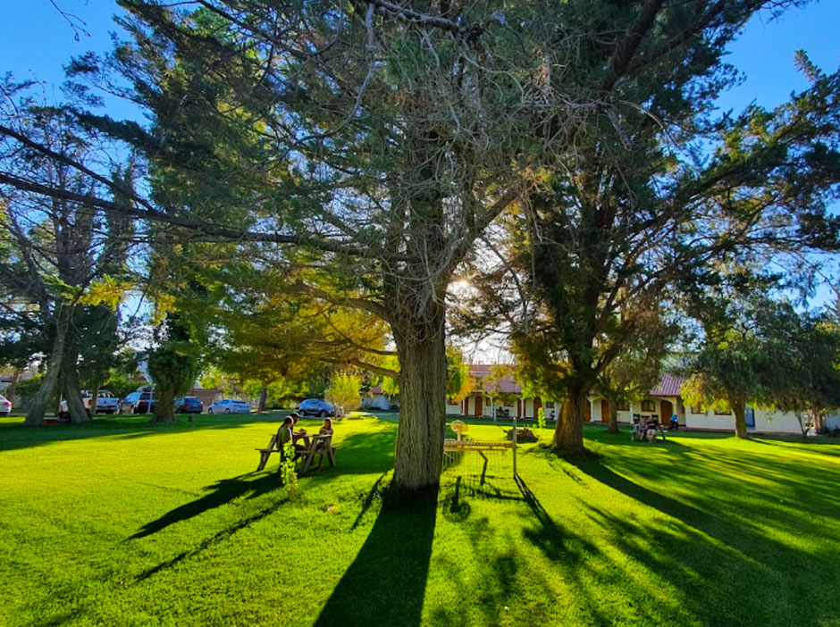 La Ciudad de Catriel - Imagen: Argentinaturismo.com.ar