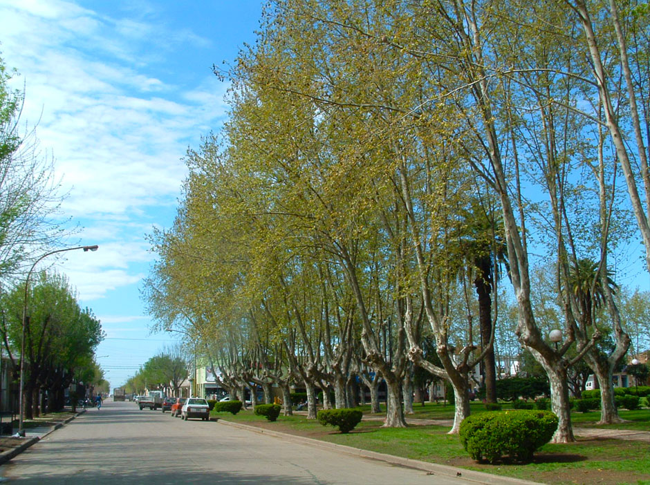 Historia de Chabas - Imagen: Argentinaturismo.com.ar