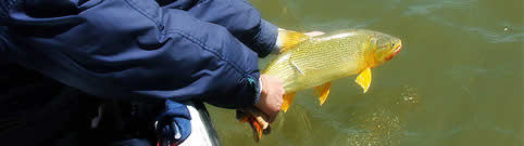 Pesca deportiva en Chaco