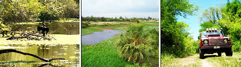 Parque Nacional Chaco