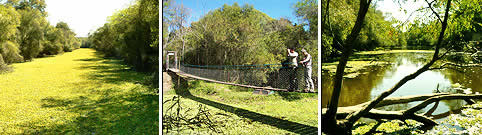 Parque Nacional Chaco