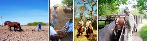Turismo Rural en Chaco