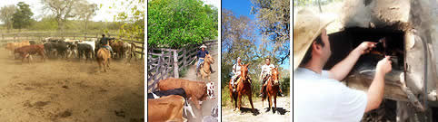 Estancias en Chaco