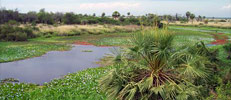 Parque Nacional Chaco