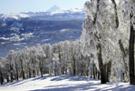 Centro de Esqui Cerro Chapelco Neuquen