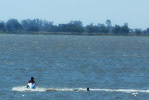 Turismo en Chascomus