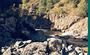 Alpa Corral