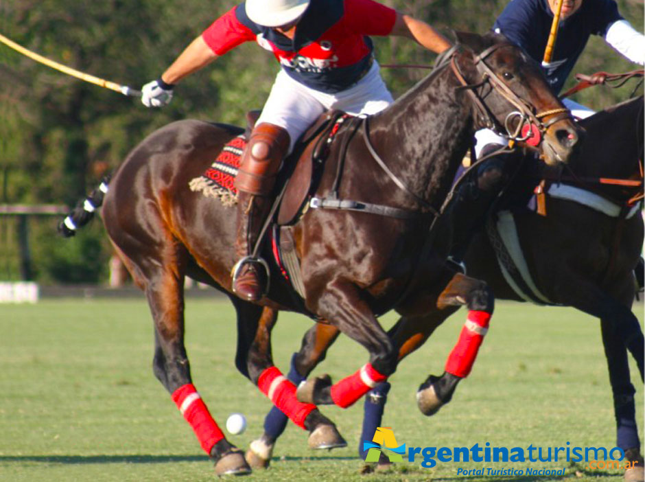 Polo en Coronel Suarez