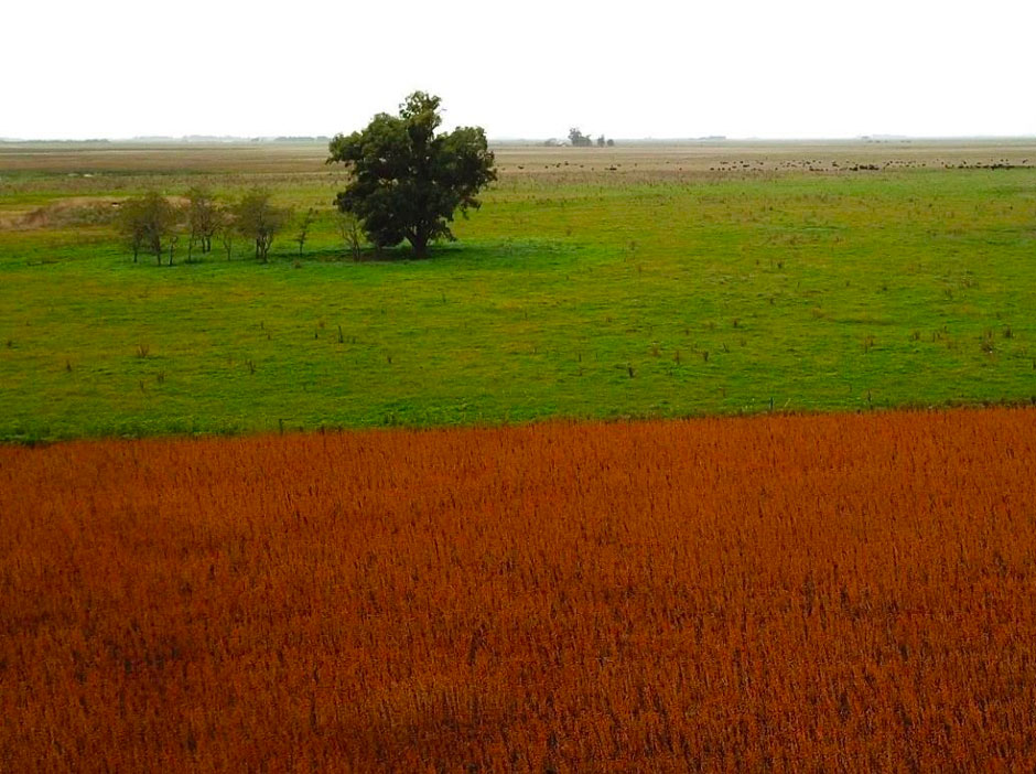 Turismo Rural en Coronel Vidal - Imagen: Argentinaturismo.com.ar