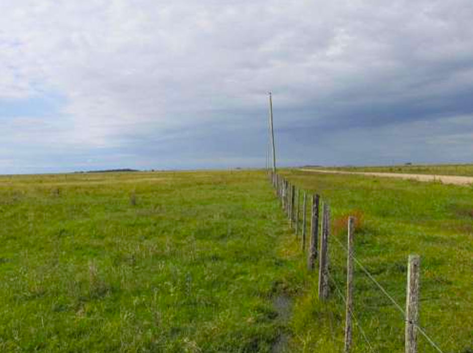 Turismo Rural en Dolores - Imagen: Argentinaturismo.com.ar