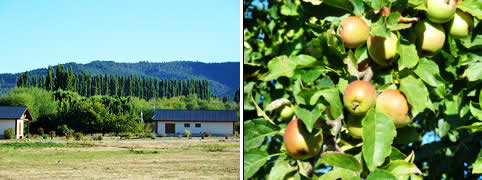 Estancias en El Hoyo Chubut