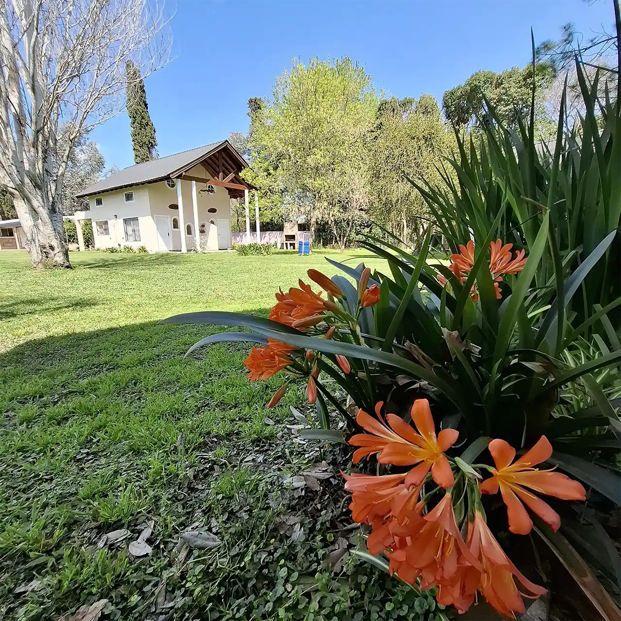 El Mait�n Baradero