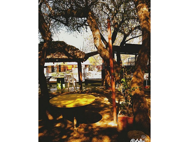 El Patio Olmos de Santa Rosa de Conlara, Argentina, San Luis, Cuyo