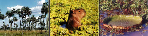 Agroturismo en Entre Rios